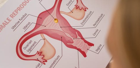 Fat Transfer